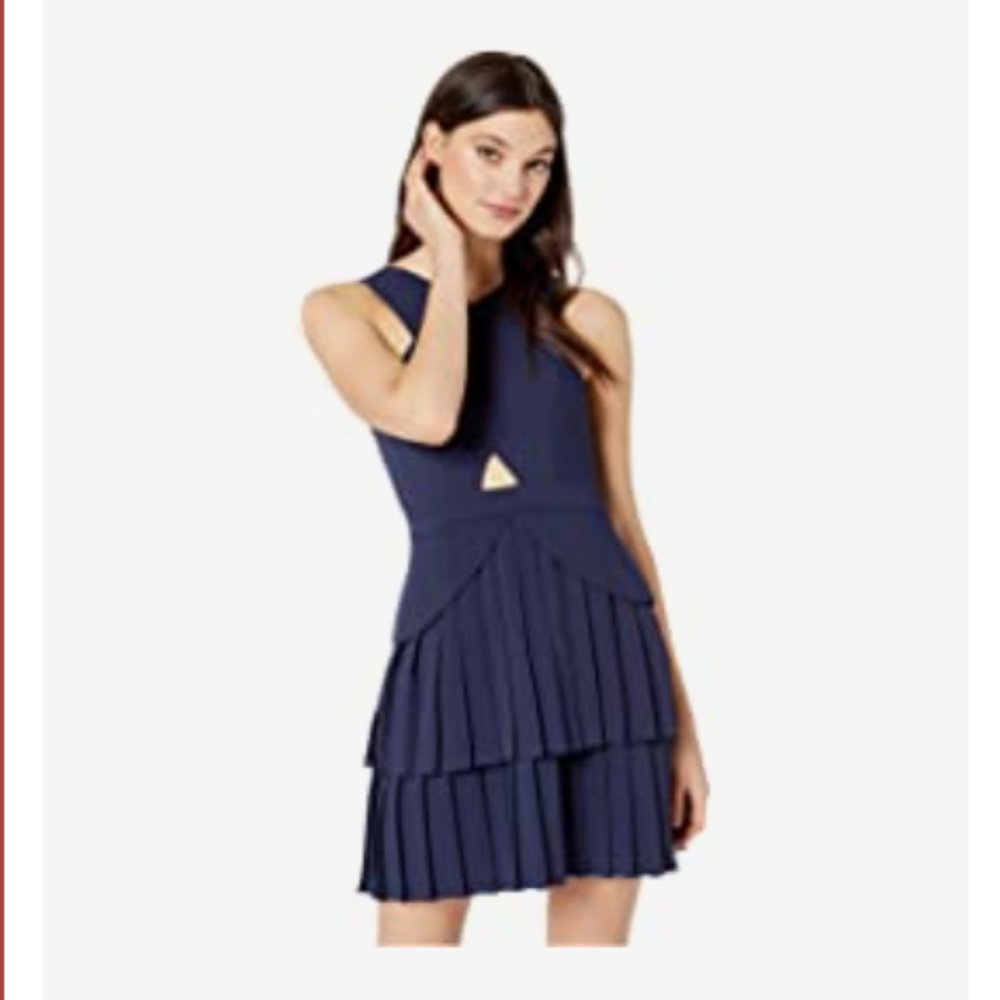 BCBG Navy Dress with Ruffles